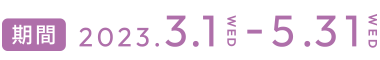 2023.3.1-5.31